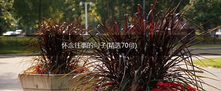 怀念往事的句子(精选70句),第1张