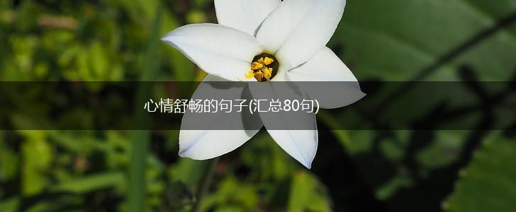 心情舒畅的句子(汇总80句),第1张