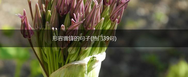 形容雷锋的句子(热门39句),第1张