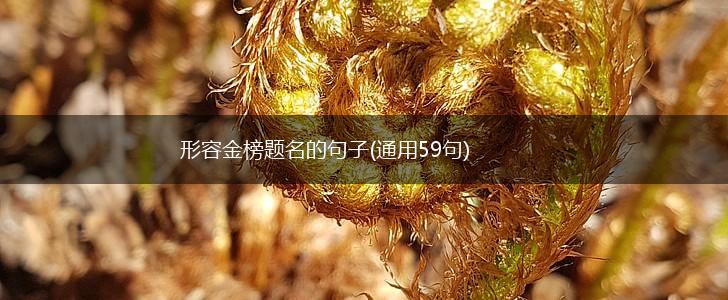 形容金榜题名的句子(通用59句),第1张