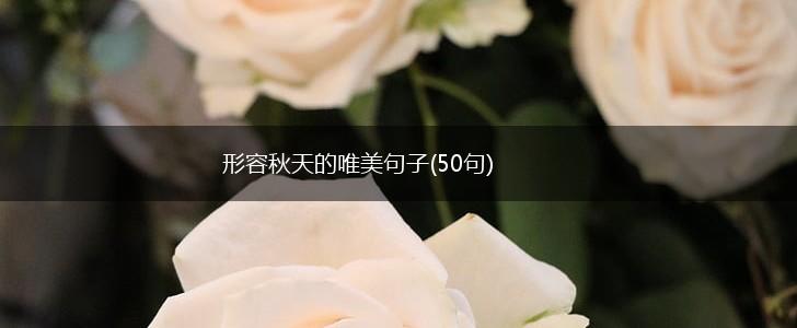 形容秋天的唯美句子(50句),第1张