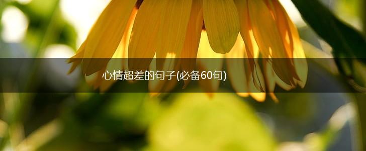 心情超差的句子(必备60句),第1张