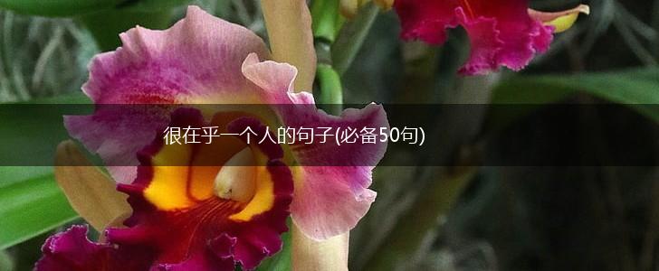 很在乎一个人的句子(必备50句),第1张