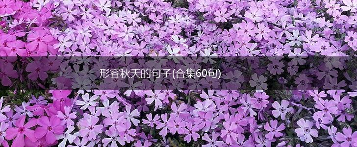 形容秋天的句子(合集60句),第1张