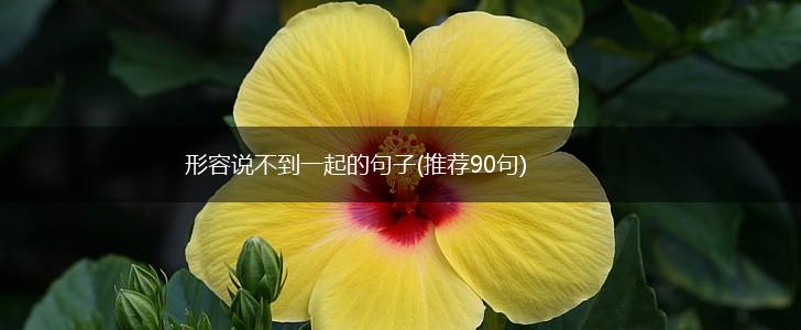 形容说不到一起的句子(推荐90句),第1张