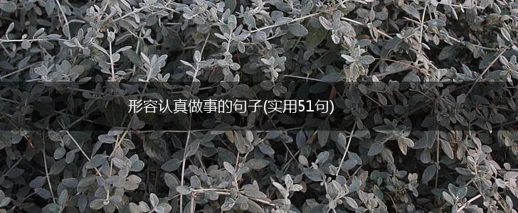形容认真做事的句子(实用51句),第1张