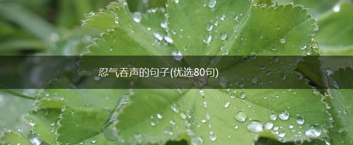 忍气吞声的句子(优选80句),第1张
