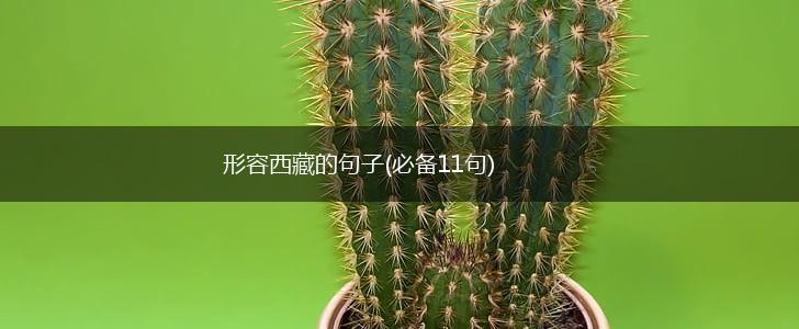 形容西藏的句子(必备11句),第1张