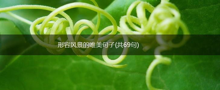 形容风景的唯美句子(共69句),第1张
