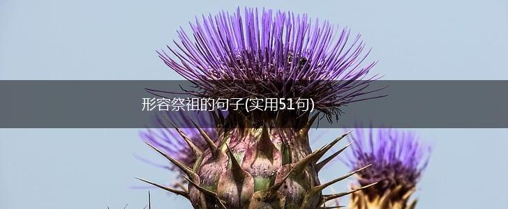 形容祭祖的句子(实用51句),第1张