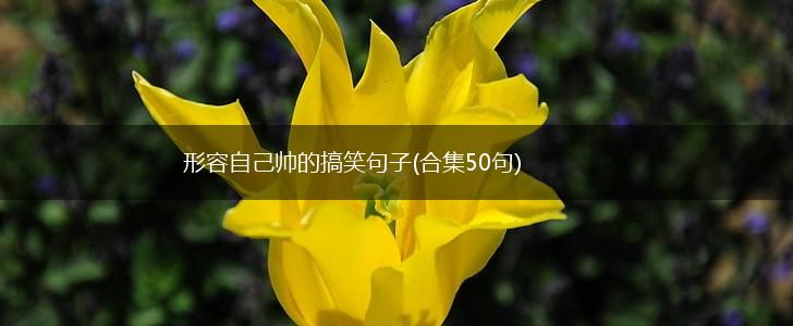 形容自己帅的搞笑句子(合集50句),第1张