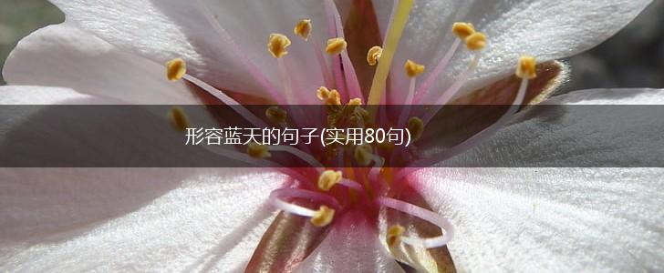 形容蓝天的句子(实用80句),第1张
