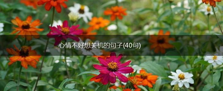心情不好想关机的句子(40句),第1张