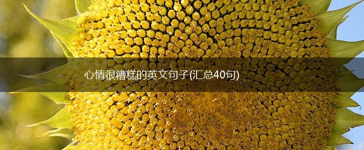 心情很糟糕的英文句子(汇总40句),第1张