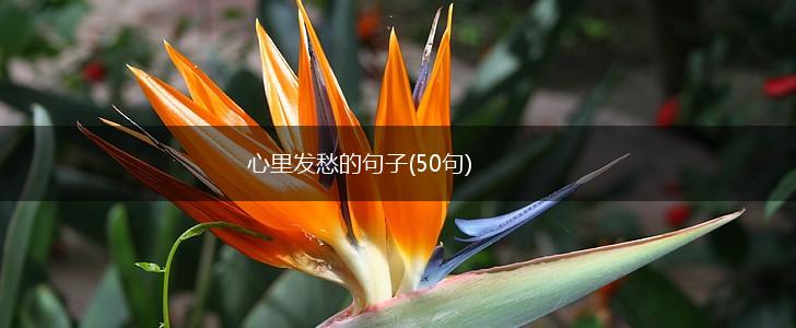 心里发愁的句子(50句),第1张