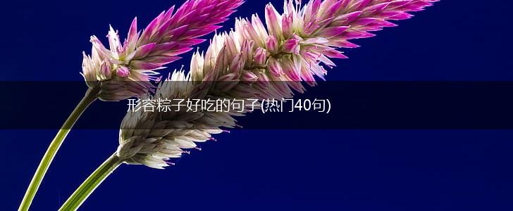形容粽子好吃的句子(热门40句),第1张