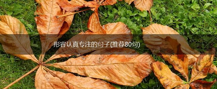 形容认真专注的句子(推荐80句),第1张
