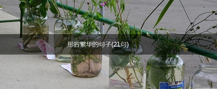 形容繁华的句子(21句),第1张