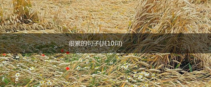 很累的句子(共10句),第1张