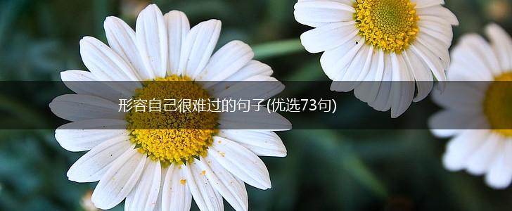 形容自己很难过的句子(优选73句),第1张