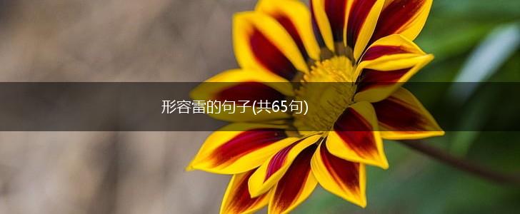 形容雷的句子(共65句),第1张