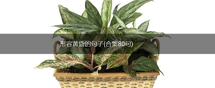形容黄昏的句子(合集80句),第1张