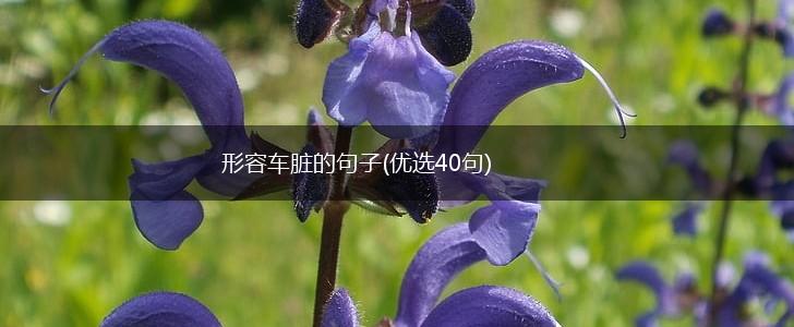 形容车脏的句子(优选40句),第1张