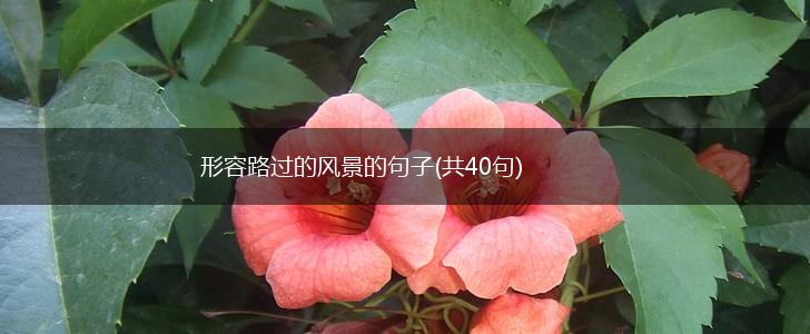 形容路过的风景的句子(共40句),第1张