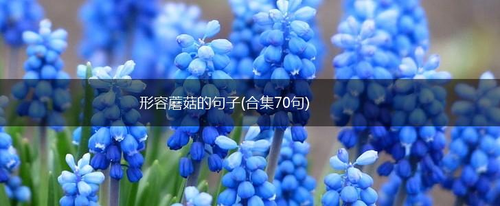 形容蘑菇的句子(合集70句),第1张