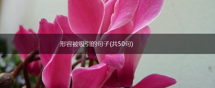 形容被吸引的句子(共50句),第1张