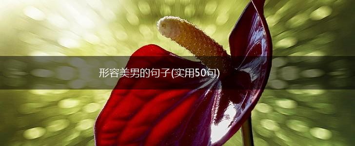 形容美男的句子(实用50句),第1张