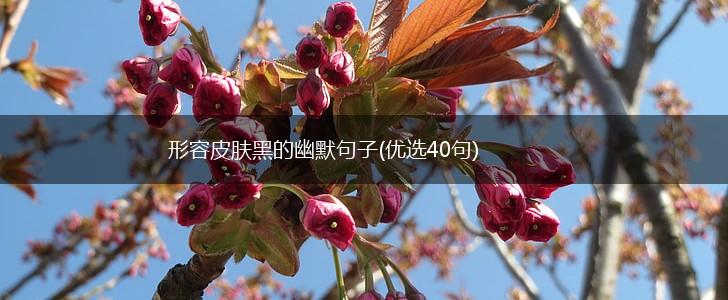 形容皮肤黑的幽默句子(优选40句),第1张