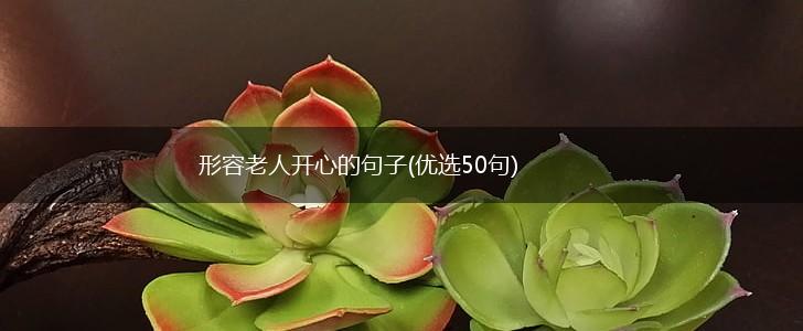 形容老人开心的句子(优选50句),第1张