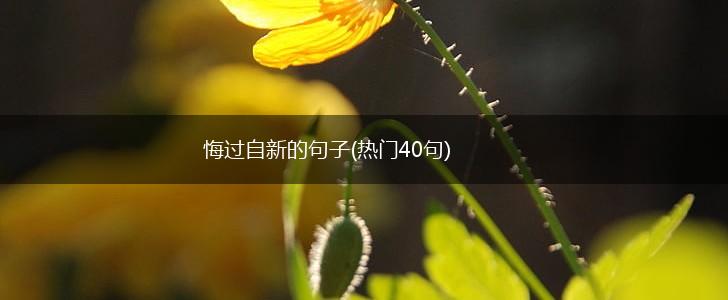 悔过自新的句子(热门40句),第1张