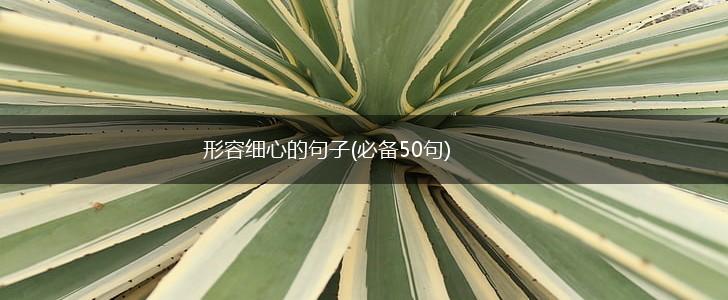 形容细心的句子(必备50句),第1张