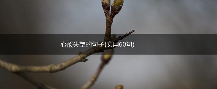 心酸失望的句子(实用60句),第1张