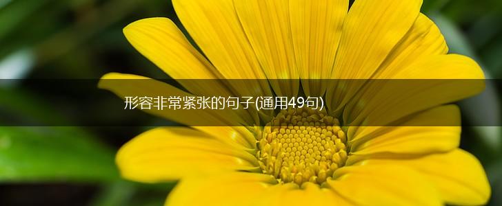 形容非常紧张的句子(通用49句),第1张