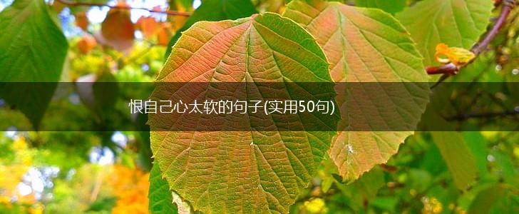 恨自己心太软的句子(实用50句),第1张