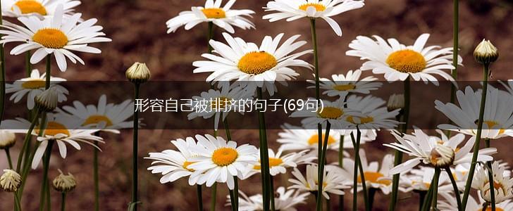 形容自己被排挤的句子(69句),第1张
