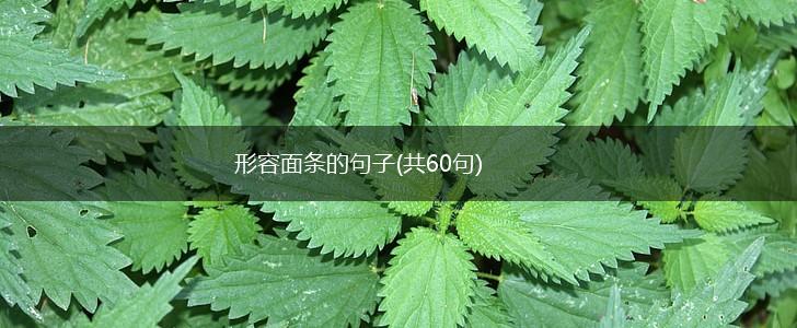 形容面条的句子(共60句),第1张