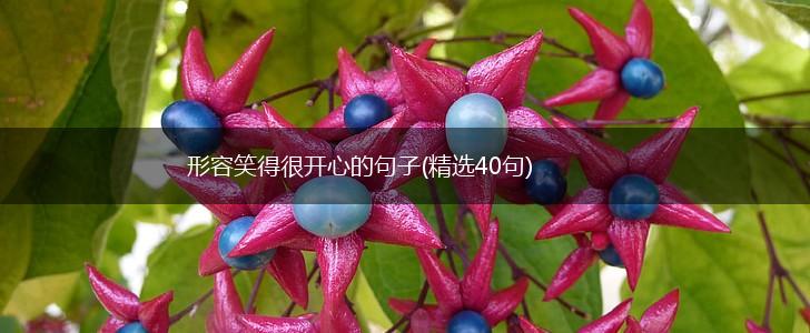 形容笑得很开心的句子(精选40句),第1张