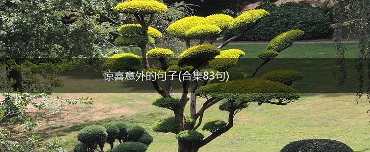 惊喜意外的句子(合集83句),第1张