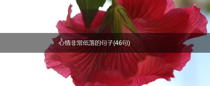 心情非常低落的句子(46句),第1张