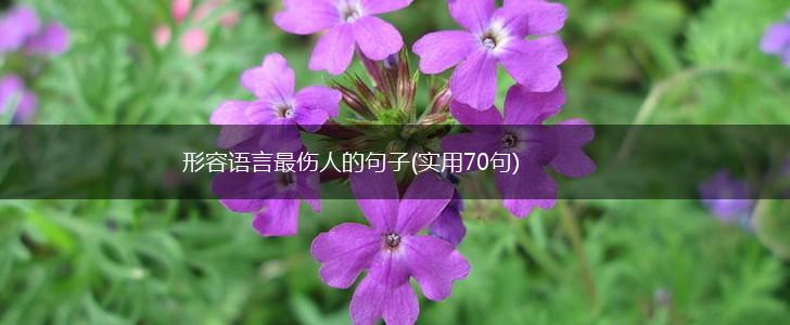 形容语言最伤人的句子(实用70句),第1张