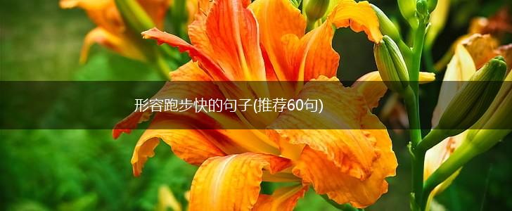 形容跑步快的句子(推荐60句),第1张