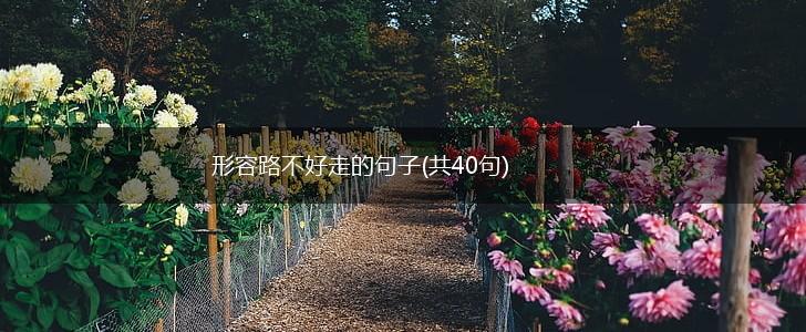 形容路不好走的句子(共40句),第1张