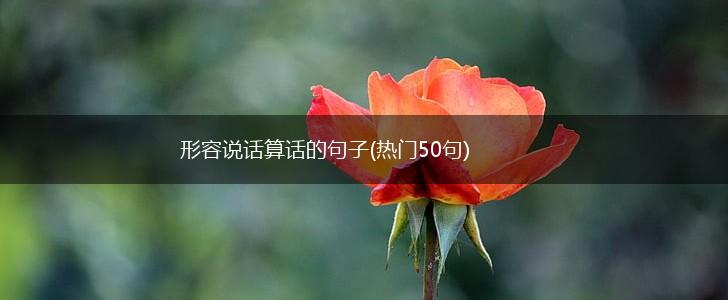 形容说话算话的句子(热门50句),第1张