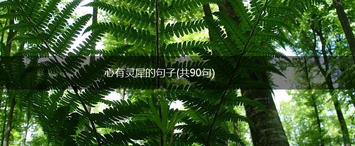 心有灵犀的句子(共90句),第1张
