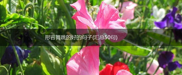 形容舞跳的好的句子(汇总50句),第1张