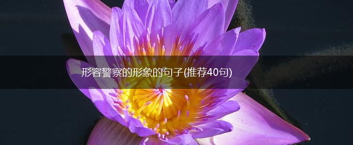 形容警察的形象的句子(推荐40句),第1张